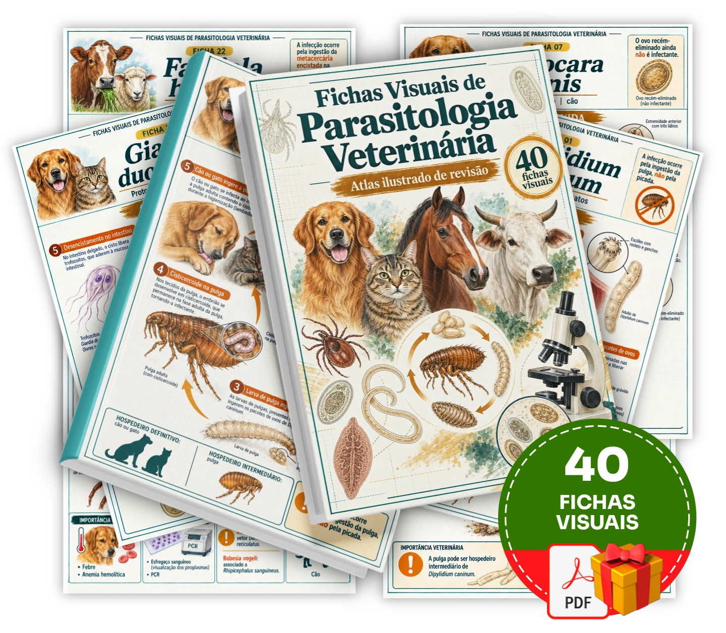 Descubra como revisar um parasita por vez com 40 fichas visuais, sem precisar percorrer o atlas inteiro para entender seu ciclo.