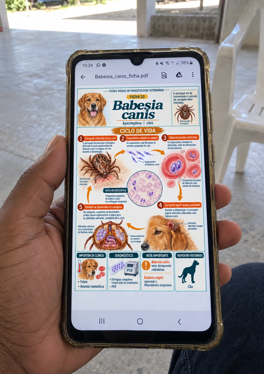 Material em uso 5